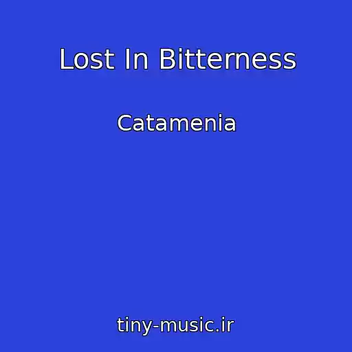 کاور آهنگ Lost In Bitterness از Catamenia