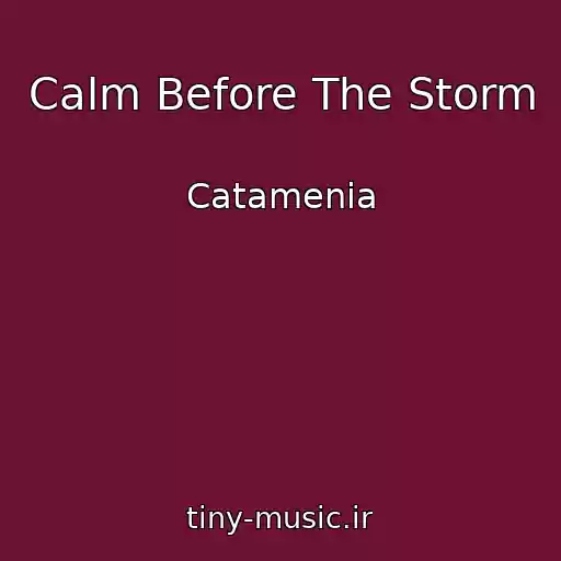 کاور آهنگ Calm Before The Storm از Catamenia