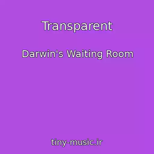 کاور آهنگ Transparent از Darwin's Waiting Room