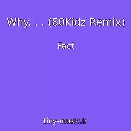 کاور آهنگ Why. . . (80Kidz Remix) از Fact