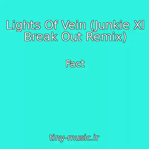 کاور آهنگ Lights Of Vein (Junkie Xl Break Out Remix) از Fact