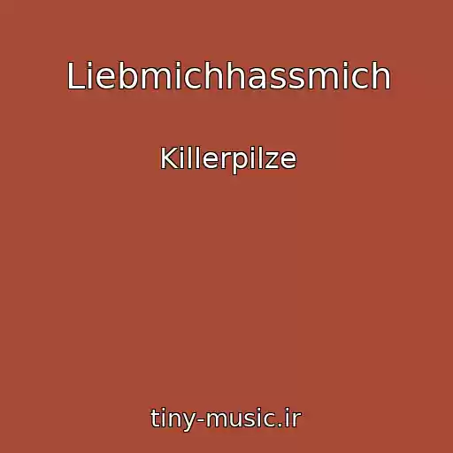 کاور آهنگ Liebmichhassmich از Killerpilze