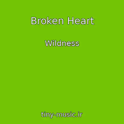 کاور آهنگ Broken Heart از Wildness