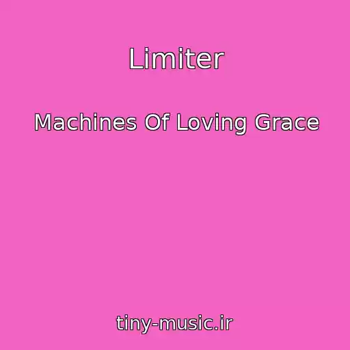 کاور آهنگ Limiter از Machines Of Loving Grace
