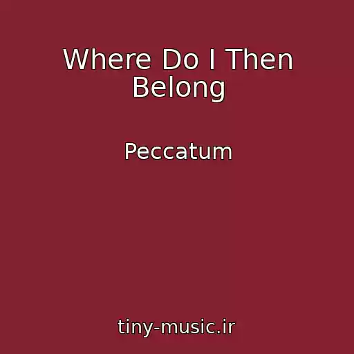 کاور آهنگ Where Do I Then Belong از Peccatum