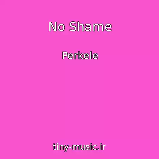 کاور آهنگ No Shame از Perkele