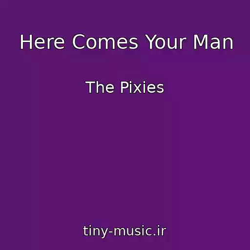 کاور آهنگ Here Comes Your Man از The Pixies