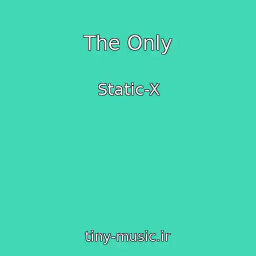 کاور آهنگ The Only از Static-X