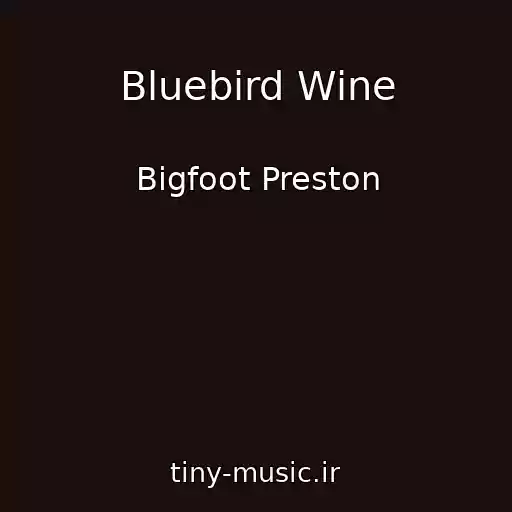 کاور آهنگ Bluebird Wine از Bigfoot Preston