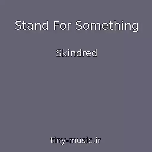 کاور آهنگ Stand For Something از Skindred
