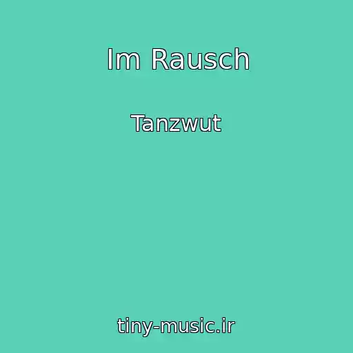 کاور آهنگ Im Rausch از Tanzwut