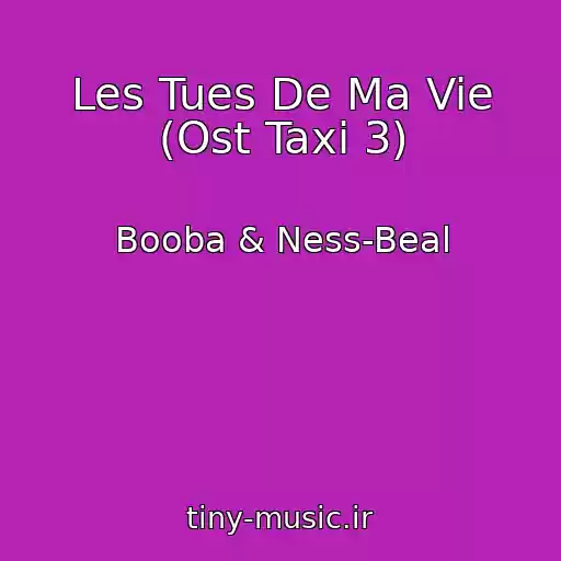 کاور آهنگ Les Tues De Ma Vie (Ost Taxi 3) از Booba & Ness-Beal