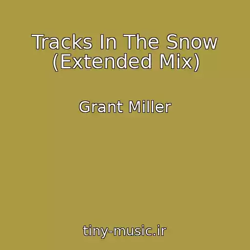 کاور آهنگ Tracks In The Snow (Extended Mix) از Grant Miller