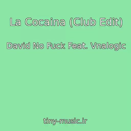 کاور آهنگ La Cocaina (Club Edit) از David No Fuck Feat. Vnalogic