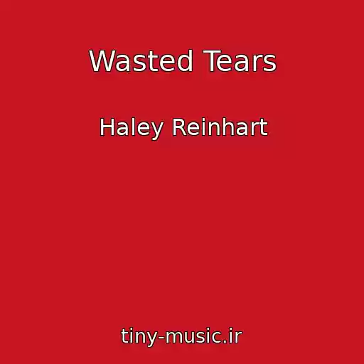 کاور آهنگ Wasted Tears از Haley Reinhart