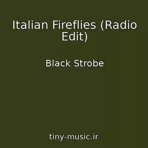 کاور آهنگ Italian Fireflies (Radio Edit) از Black Strobe