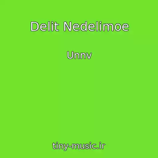 کاور آهنگ Delit Nedelimoe از Unnv