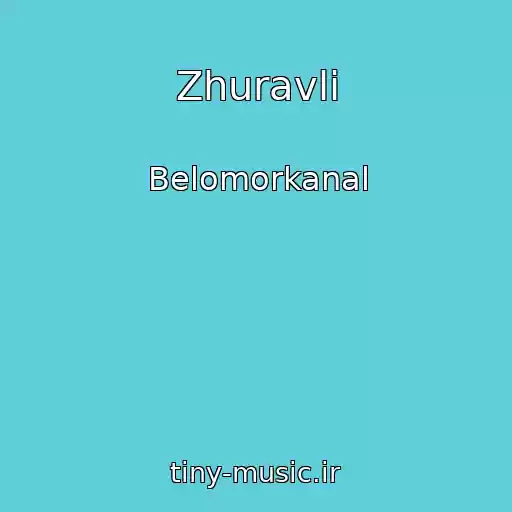کاور آهنگ Zhuravli از Belomorkanal