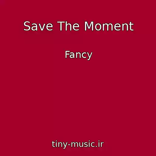 کاور آهنگ Save The Moment از Fancy
