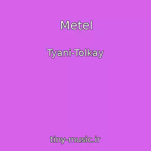 کاور آهنگ Metel از Tyani-Tolkay