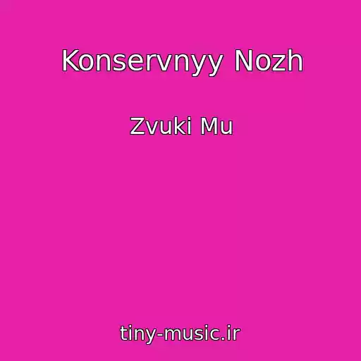 کاور آهنگ Konservnyy Nozh از Zvuki Mu