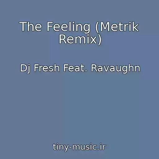 کاور آهنگ The Feeling (Metrik Remix) از Dj Fresh Feat. Ravaughn