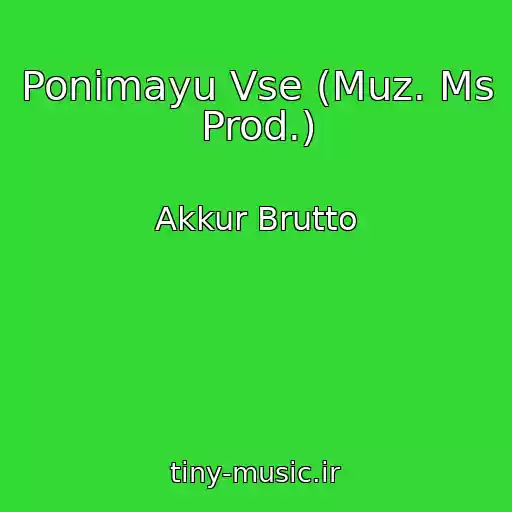 کاور آهنگ Ponimayu Vse (Muz. Ms Prod.) از Akkur Brutto