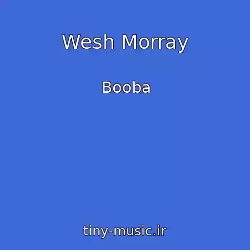 کاور آهنگ Wesh Morray از Booba