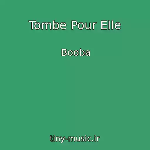 کاور آهنگ Tombe Pour Elle از Booba