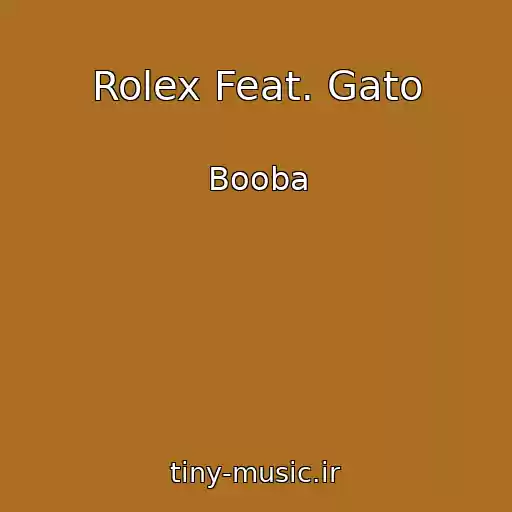 کاور آهنگ Rolex Feat. Gato از Booba