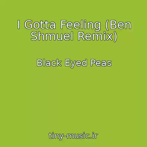 کاور آهنگ I Gotta Feeling (Ben Shmuel Remix) از Black Eyed Peas