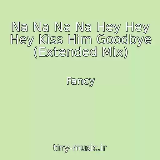 کاور آهنگ Na Na Na Na Hey Hey Hey Kiss Him Goodbye (Extended Mix) از Fancy