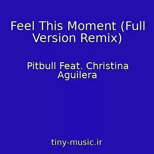 کاور آهنگ Feel This Moment (Full Version Remix) از Pitbull Feat. Christina Aguilera
