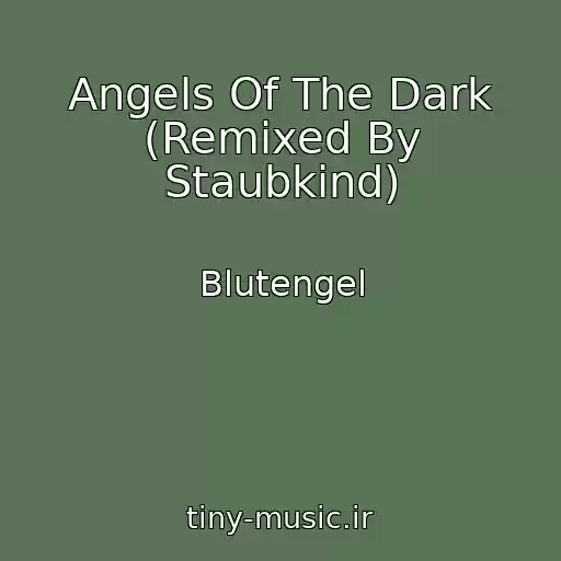 کاور آهنگ Angels Of The Dark (Remixed By Staubkind) از Blutengel