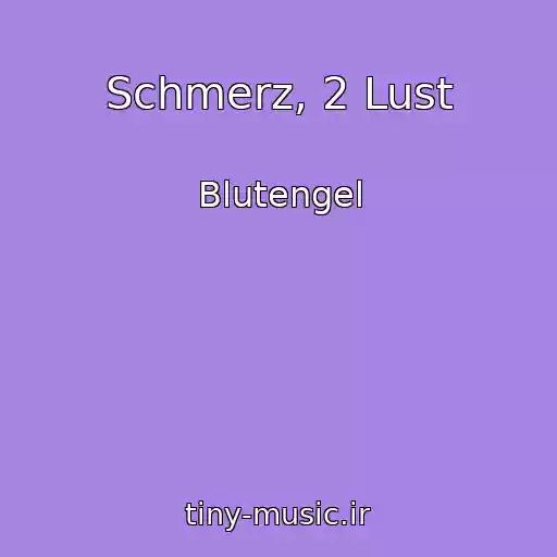 کاور آهنگ Schmerz, 2 Lust از Blutengel
