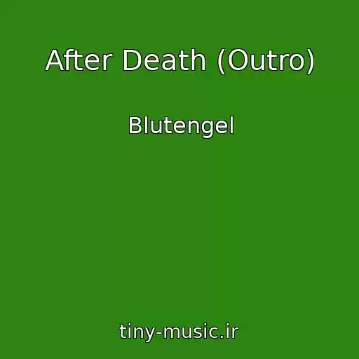 کاور آهنگ After Death (Outro) از Blutengel