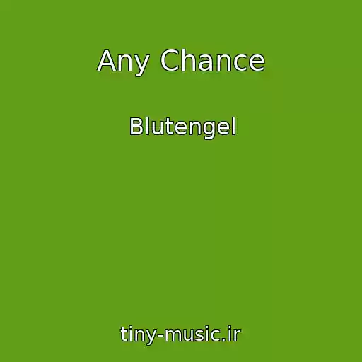 کاور آهنگ Any Chance از Blutengel