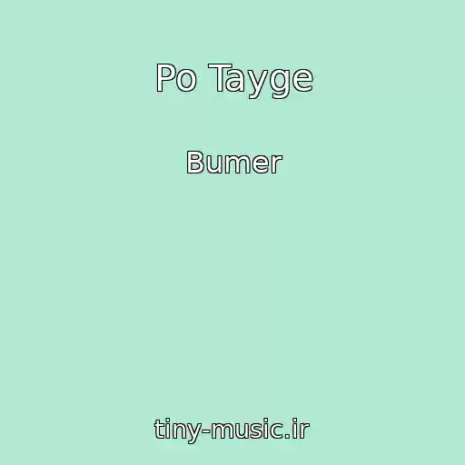 کاور آهنگ Po Tayge از Bumer