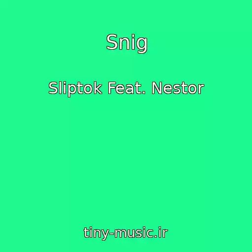 کاور آهنگ Snіg از Slіptok Feat. Nestor