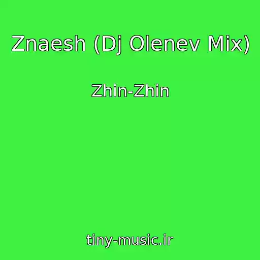 کاور آهنگ Znaesh (Dj Olenev Mix) از Zhin-Zhin