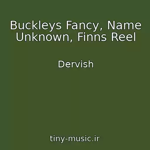 کاور آهنگ Buckleys Fancy, Name Unknown, Finns Reel از Dervish