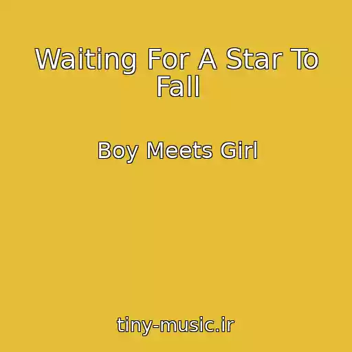 کاور آهنگ Waiting For A Star To Fall از Boy Meets Girl