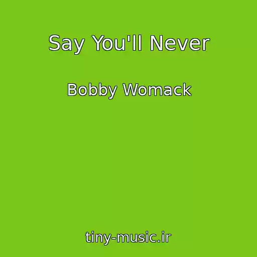 کاور آهنگ Say You'll Never از Bobby Womack