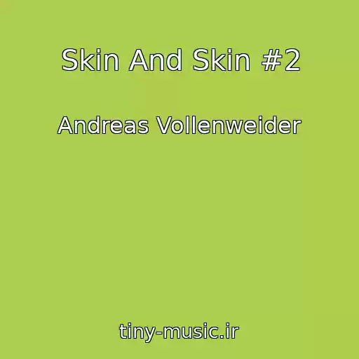 کاور آهنگ Skin And Skin #2 از Andreas Vollenweider