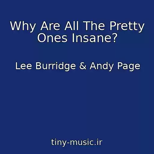 کاور آهنگ Why Are All The Pretty Ones Insane? از Lee Burridge & Andy Page