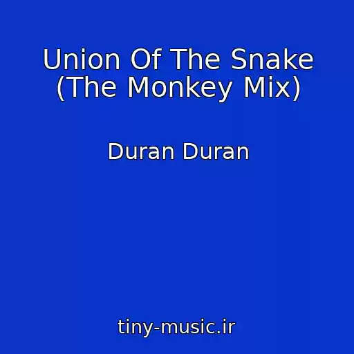 کاور آهنگ Union Of The Snake (The Monkey Mix) از Duran Duran