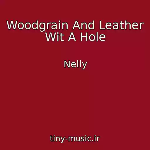 کاور آهنگ Woodgrain And Leather Wit A Hole از Nelly