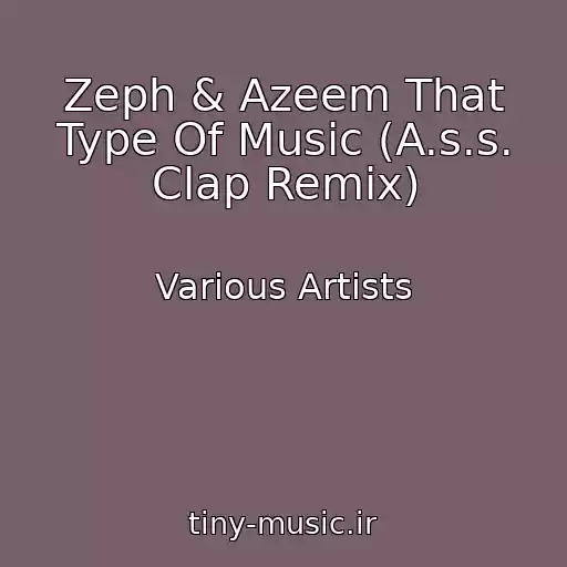 کاور آهنگ Zeph & Azeem That Type Of Music (A.s.s. Clap Remix) از Various Artists