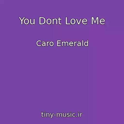 کاور آهنگ You Dont Love Me از Caro Emerald