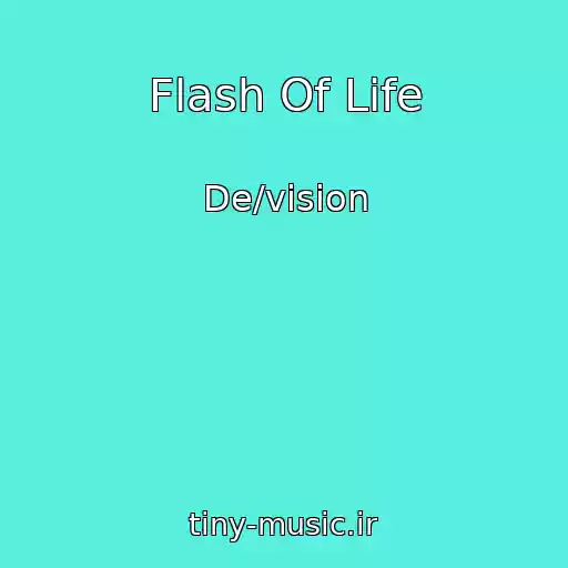 کاور آهنگ Flash Of Life از De/vision